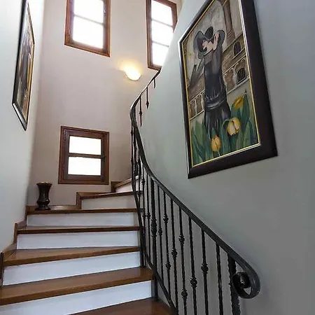 Villa Irene *